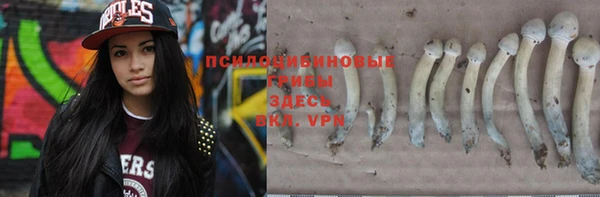 герыч Сосновый Бор