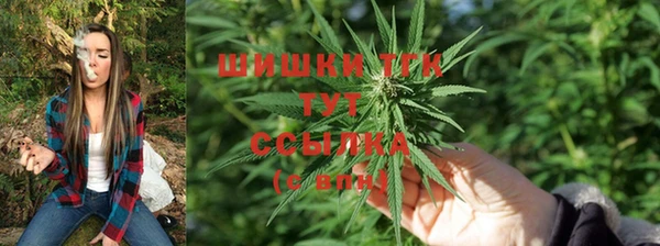 мяу мяу мука Балабаново