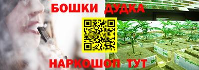 гидропоника Партизанск