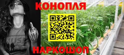 гидропоника Партизанск