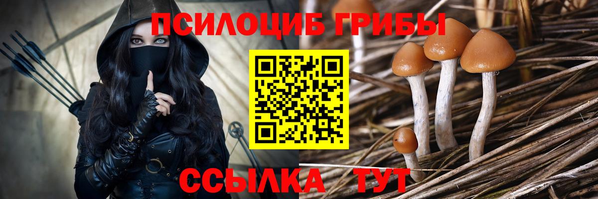 Галлюциногенные грибы Psilocybe  Псилоцибиновые грибы ЛСД  Барабинск  Вход с VPN 